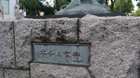 20200810163211_IMG_7294