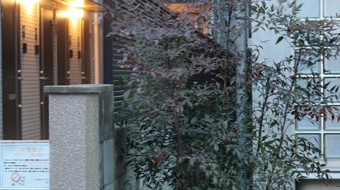 20210211174107_IMG_0358