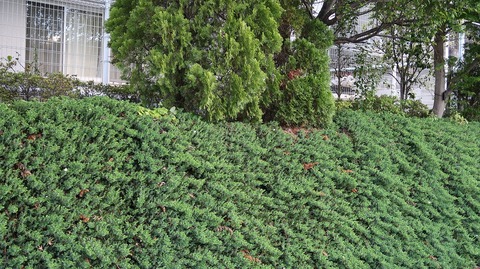 20210418173209_IMG_1193