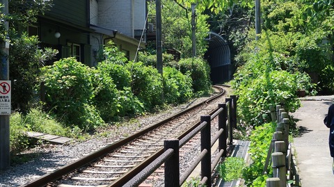 20190525123029_IMG_2398