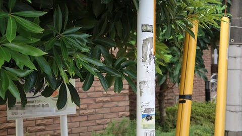 20191102092058_IMG_4656