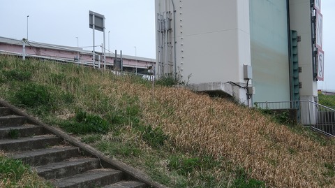 20210404180835_IMG_1017