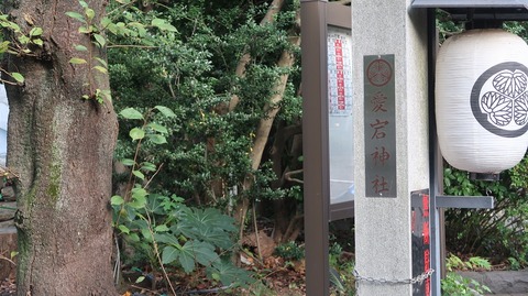 20221030152732_IMG_6816