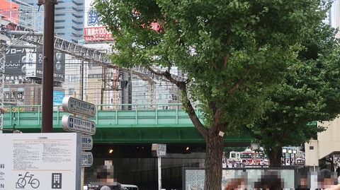 20220931131133_IMG_6169