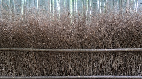 20200808095305_IMG_7042