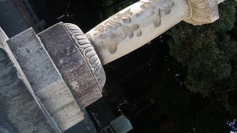 20230811145520_IMG_8971~2