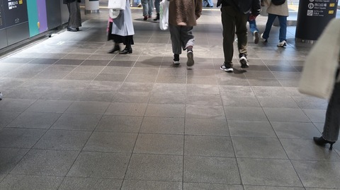 20231203125653_IMG_0704