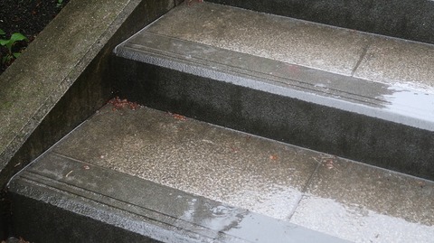 20230415165331_IMG_7950