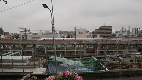 20190629165326_IMG_2662