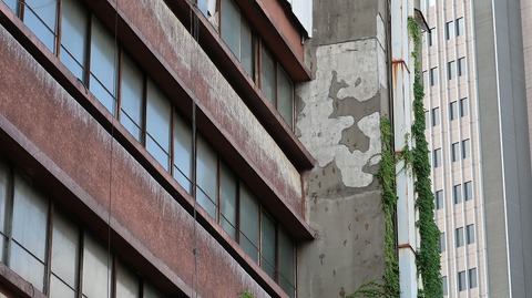 20190727163823_IMG_3105