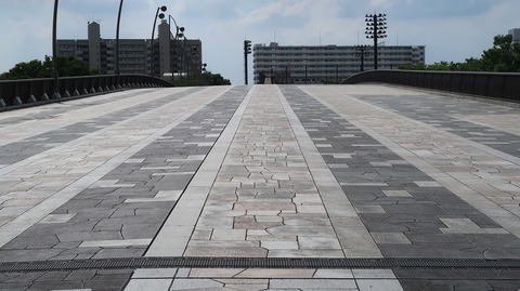 20220807153226_IMG_5417