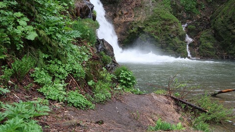 20230506144347_IMG_8184