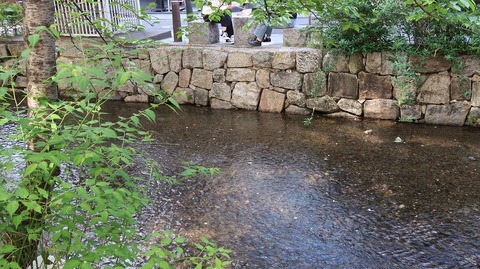 20220430151331_IMG_3649