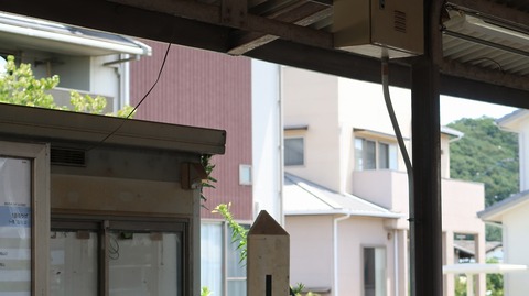 20200810114141_IMG_7200