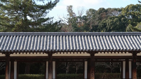 20210103132442_IMG_9839