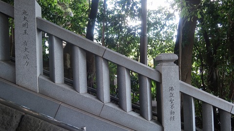 20230811150941_IMG_8990