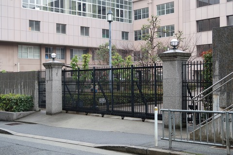 20190120110233_IMG_0708