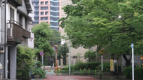 20230415174159_IMG_7986