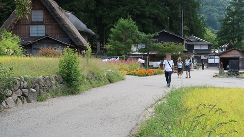 20190918135803_IMG_3987