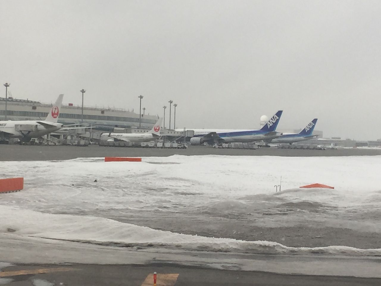 初めてairdoに搭乗 ベア ドゥと空の旅 特典航空券で北海道 檄安で満喫 優雅に空を飛びたい お得な旅でダイヤ会員へ 初めてairdoに搭乗 ベア ドゥと空の旅 特典航空券で北海道 檄安で満喫 優雅に空を飛びたい お得な旅でダイヤ会員へ