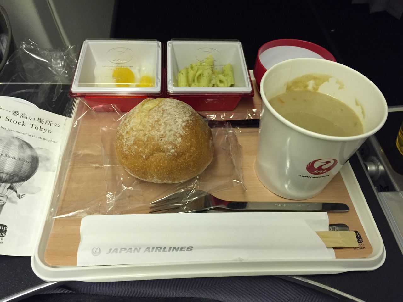 羽田空港からディズニーランドを眼下に一路パリへ イタリア フランス ドイツ冬の旅1 優雅に空を飛びたい お得な旅でダイヤ会員へ