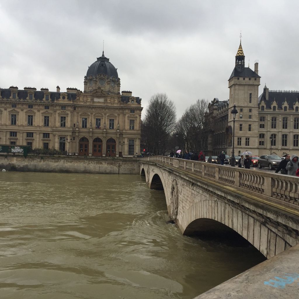 花の都パリへ 降りすぎの冷たい雨でセーヌ川は増水中 イタリア フランス ドイツ冬の旅10 優雅に空を飛びたい お得な旅でダイヤ会員へ