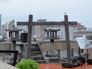 DSC07331