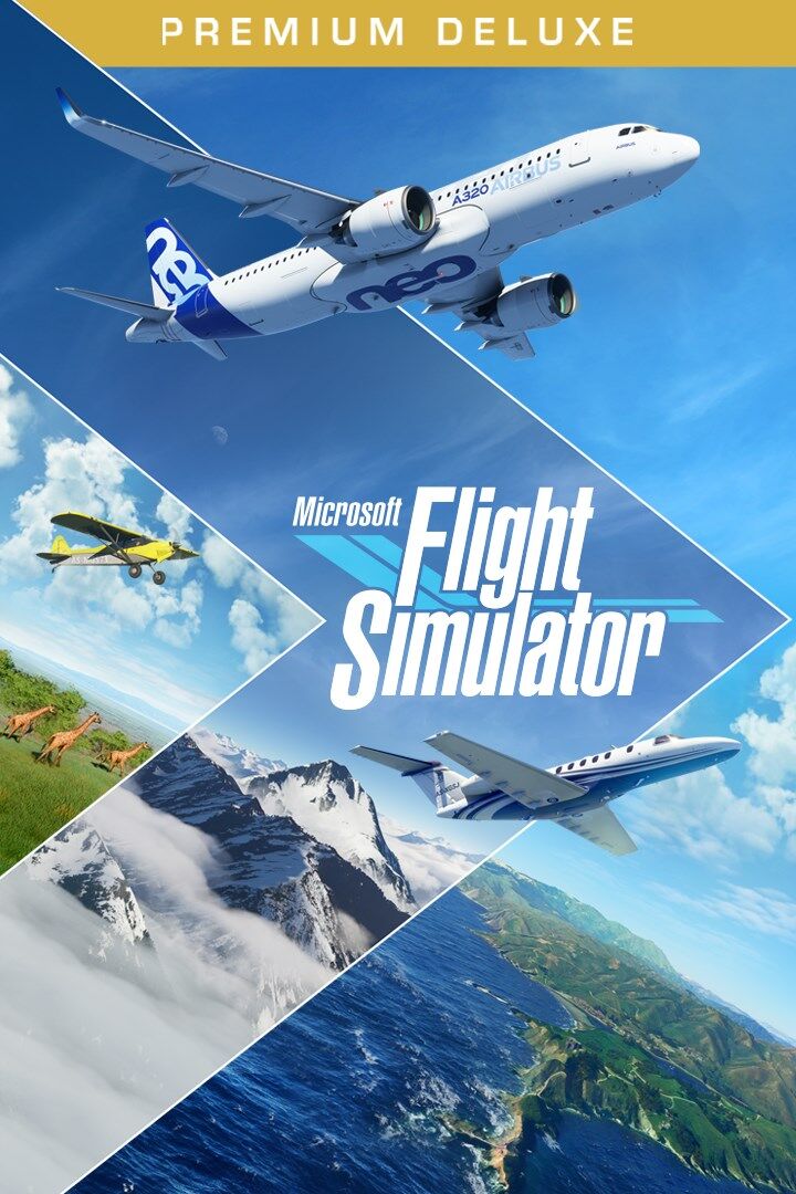 Microsoft Flight Simulator No1 Flyer
