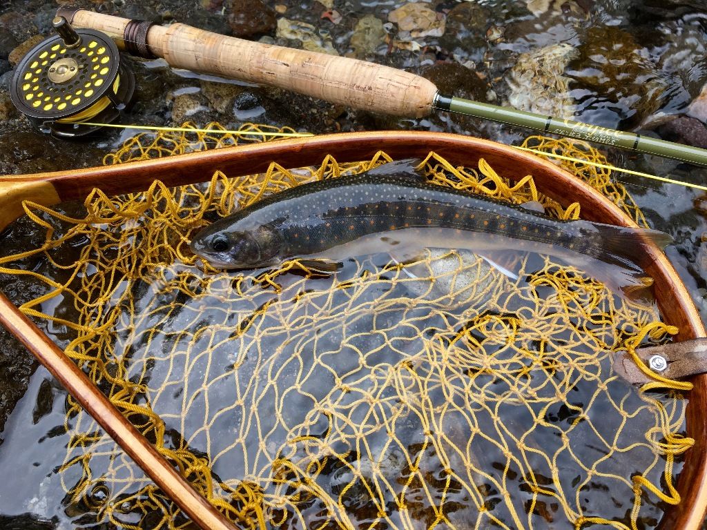 釣り カントリージェントルマンを目指して２