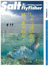 偽ソルト本
