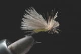 171cdc-a03