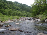 P6060121