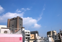 窓からの景色