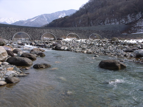 R0016441