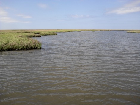 NCM_0491