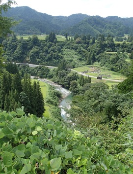P8250287