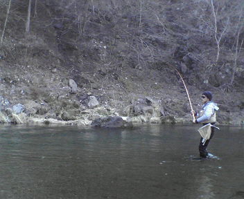 201004081633001