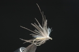 171cdc-a06