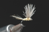 171cdc-a01