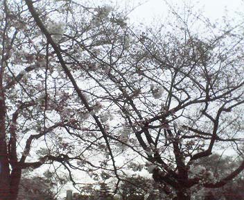 201003280947000