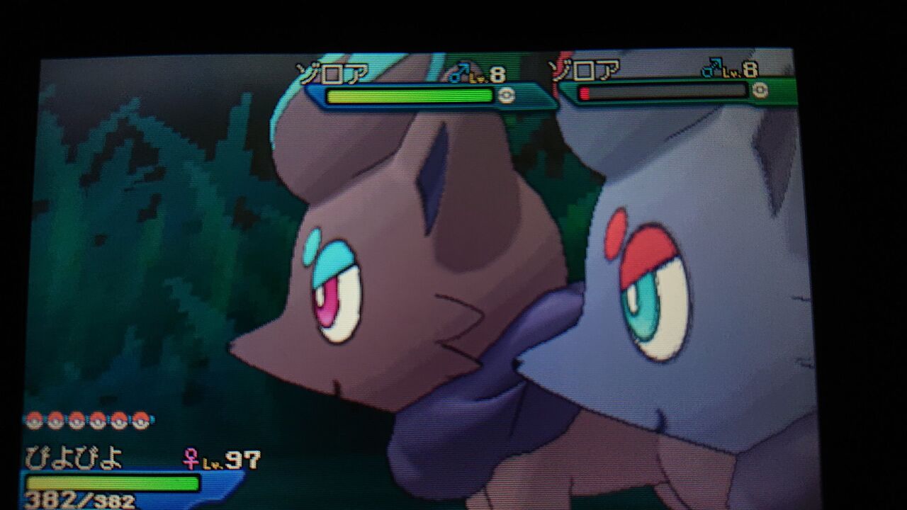 乱入バトルで快適に色違いポケモンゲット生活 5 オシャボ活動ブログ