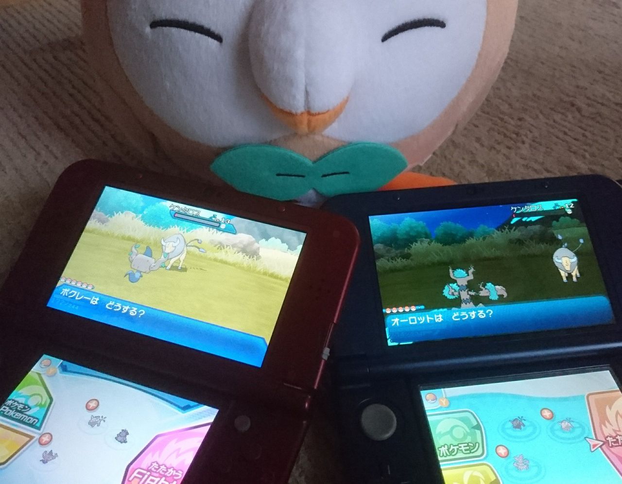 ショップボ夢ミルタンク13匹を自力捕獲した話 オシャボ活動ブログ