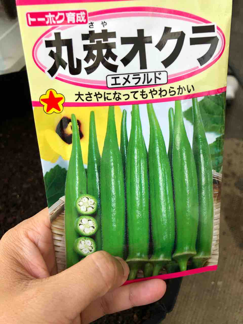 ラズベリー 開花34日目とオクラ でぶねこ農園 ベランダで育てるおいしい果樹