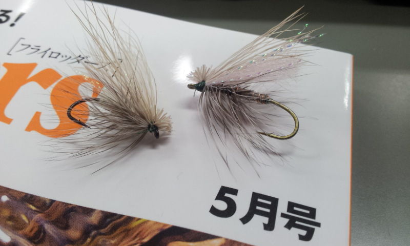 ドライフライでサクラマス!! : ロッダーズブログ