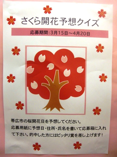 sakurakuizu