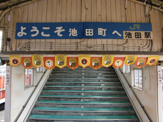 CIMG0147