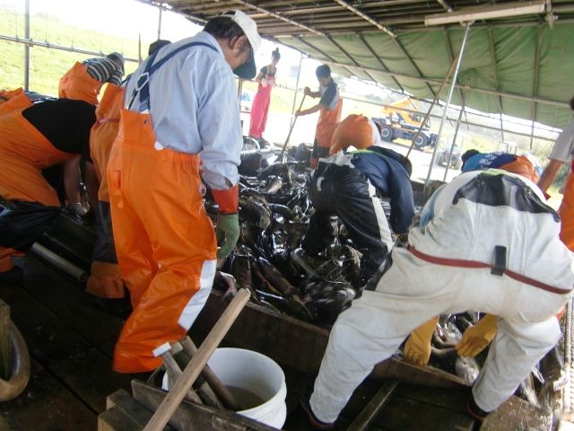 十勝釧路管内さけます増殖事業協会 親魚捕獲施設 猿別川 Wing Blog 帯広 十勝のラジオ局 Fm Wingのblog