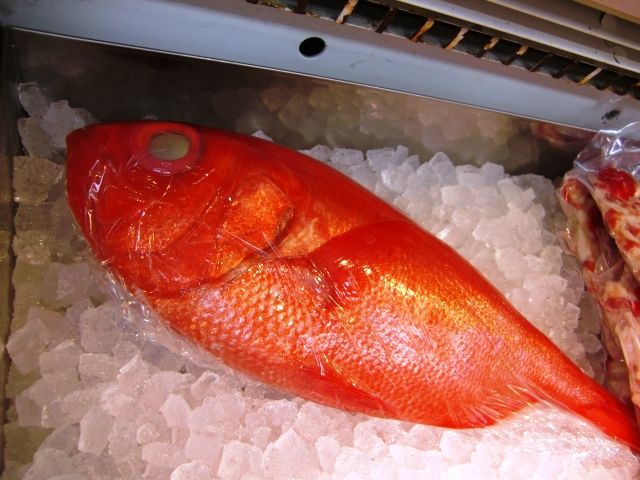 kinnki