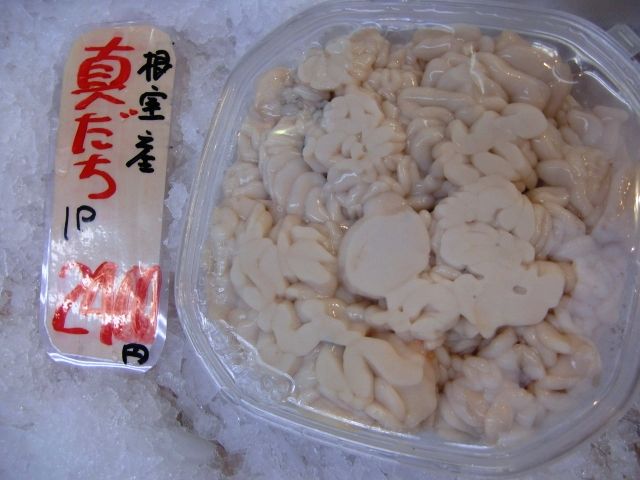 madachi