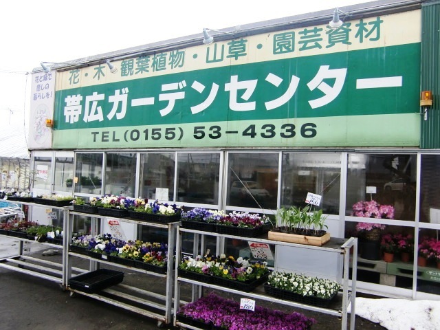 gaikann